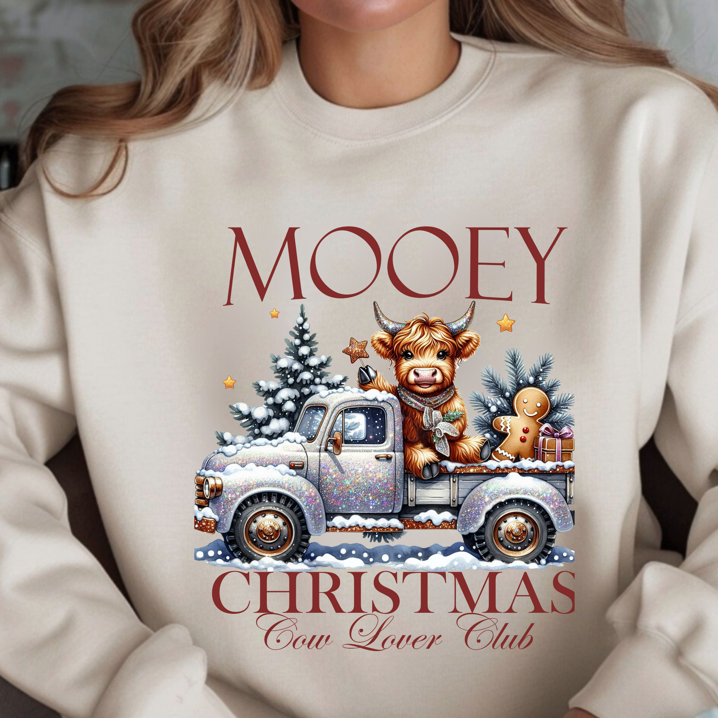 Close-up of Highland cow with gingerbread in snowy truck