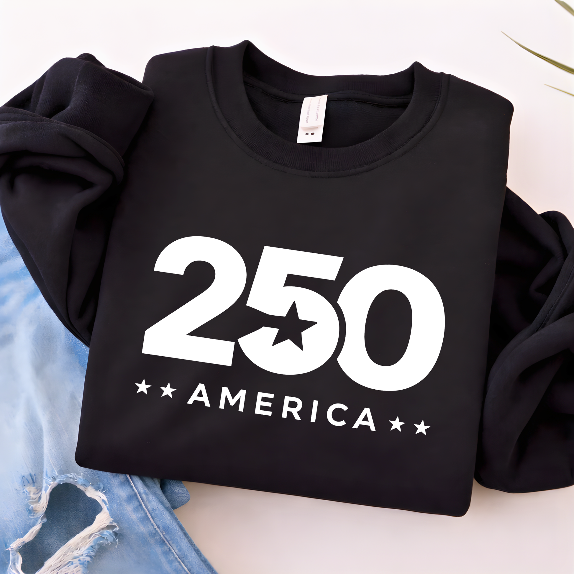 Black sweatshirt with '250 America' text on a light background