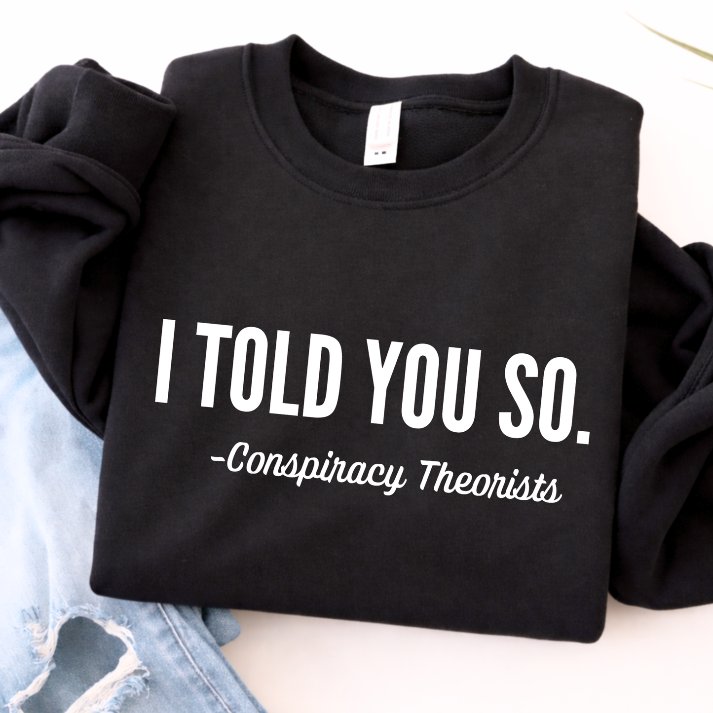 Black sweatshirt with text 'I Told You So. - Conspiracy Theorists' on a light background