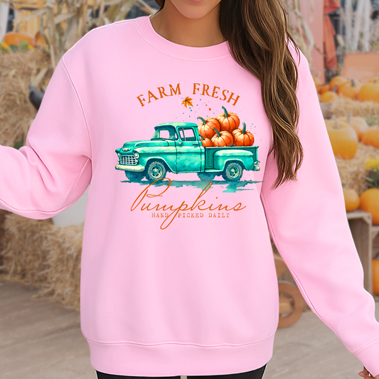 Woman wearing a White sweatshirt with fall truck and pumpkins worn in a pumpkin patch setting